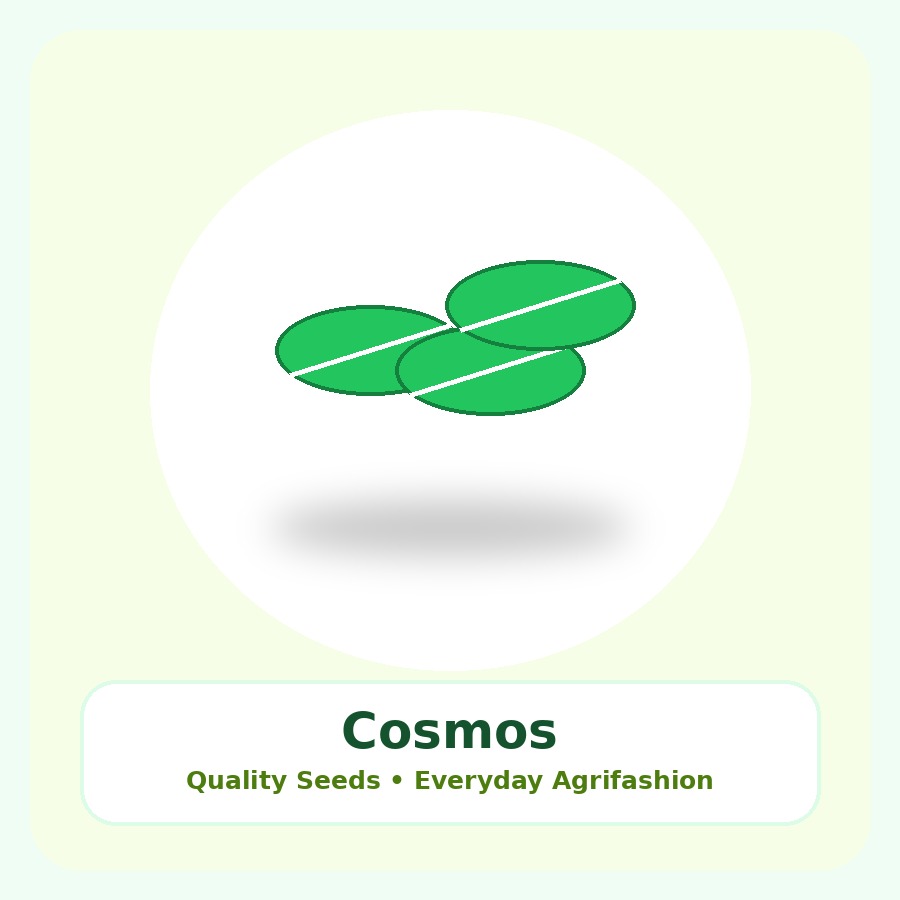 Cosmos Seeds 250 Seeds