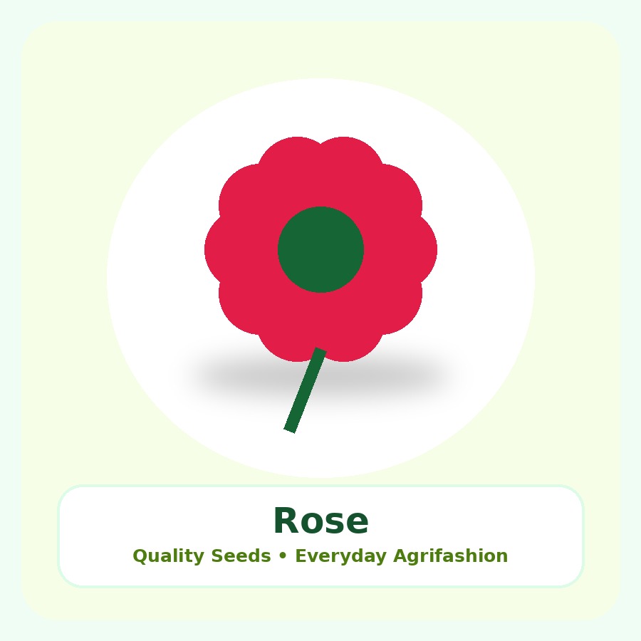 Rose Seeds 100 Seeds