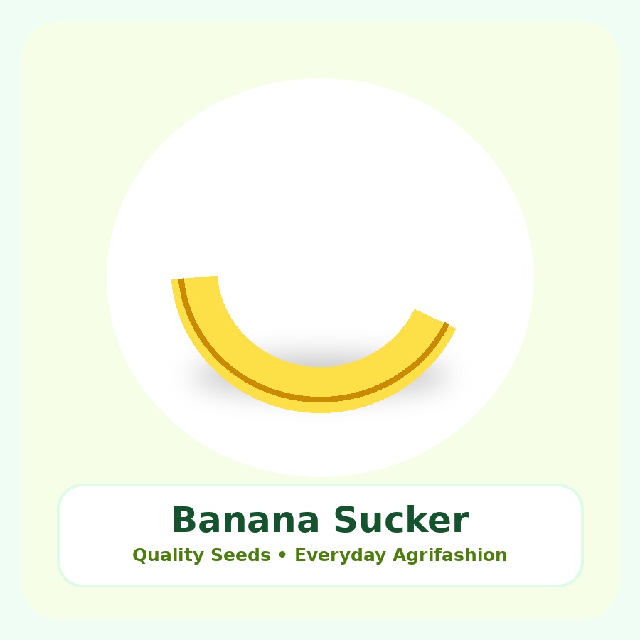 Banana Sucker Seeds 25 Seeds