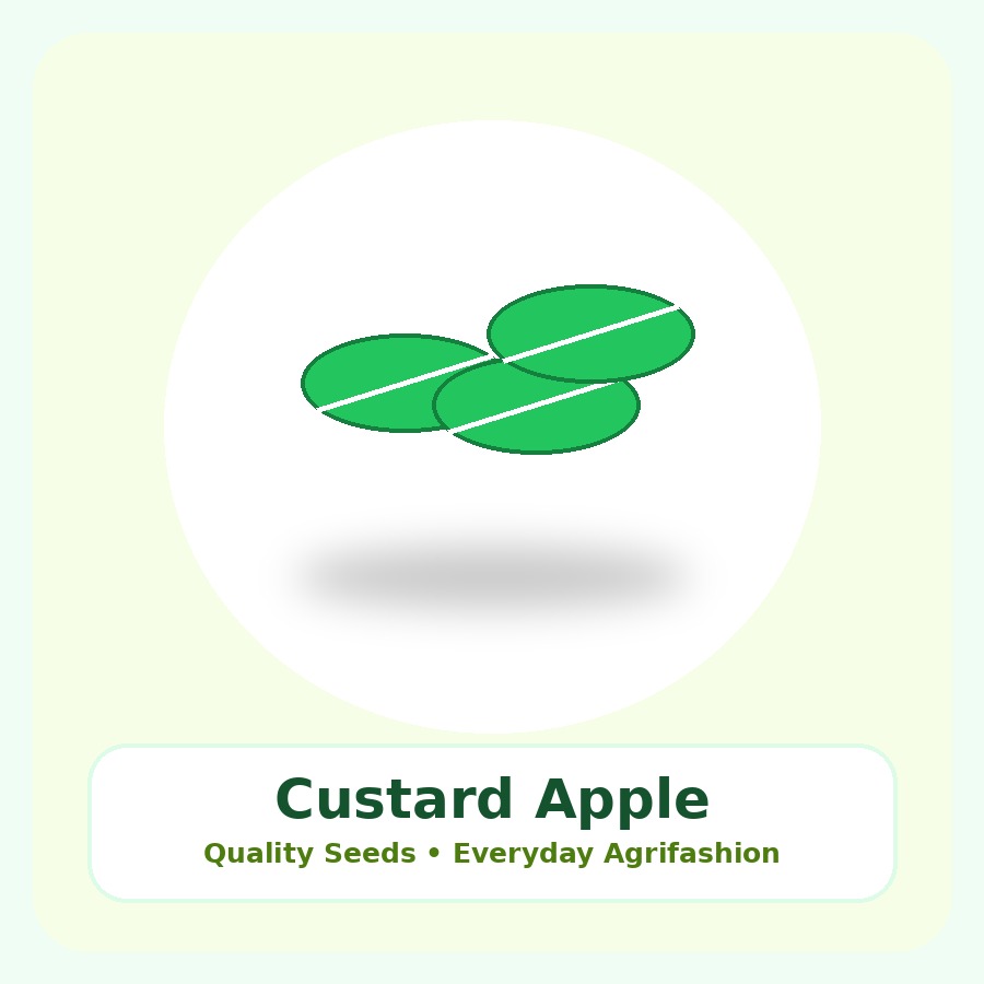 Custard Apple Seeds 10 Seeds