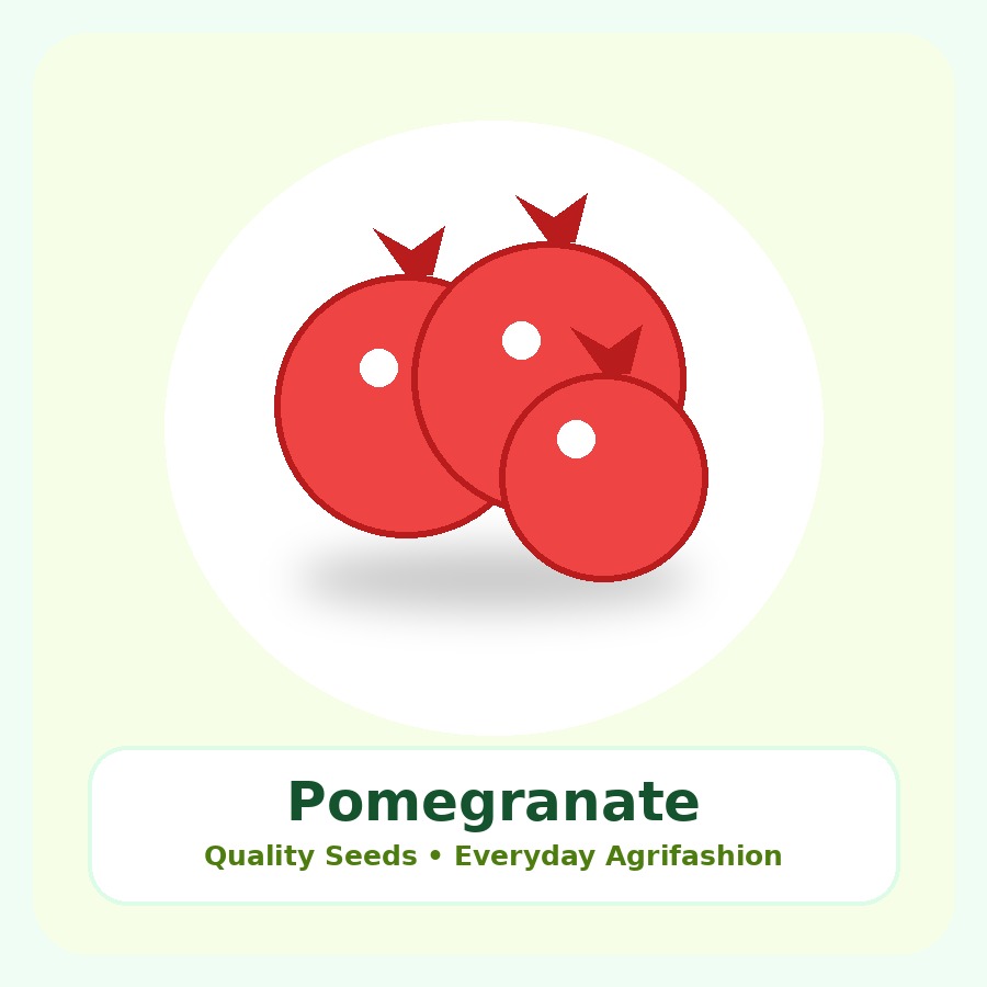 Pomegranate Seeds 10 Seeds