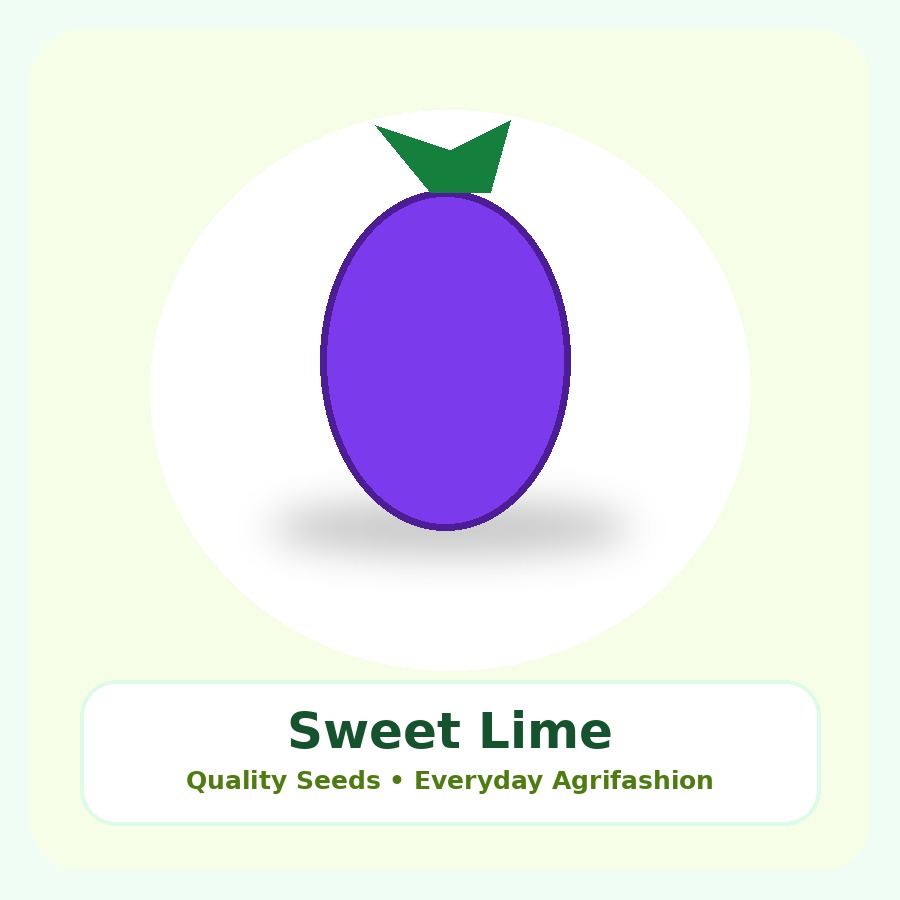 Sweet Lime Seeds 10 Seeds