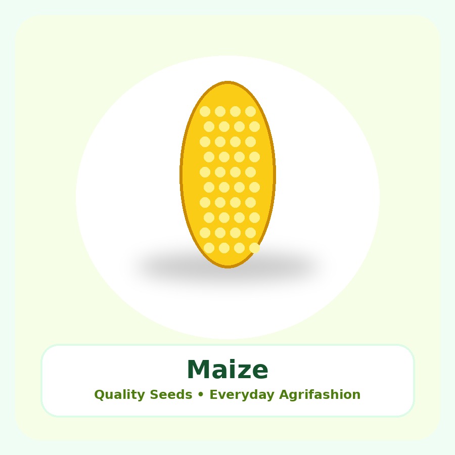 Maize Seeds 500g