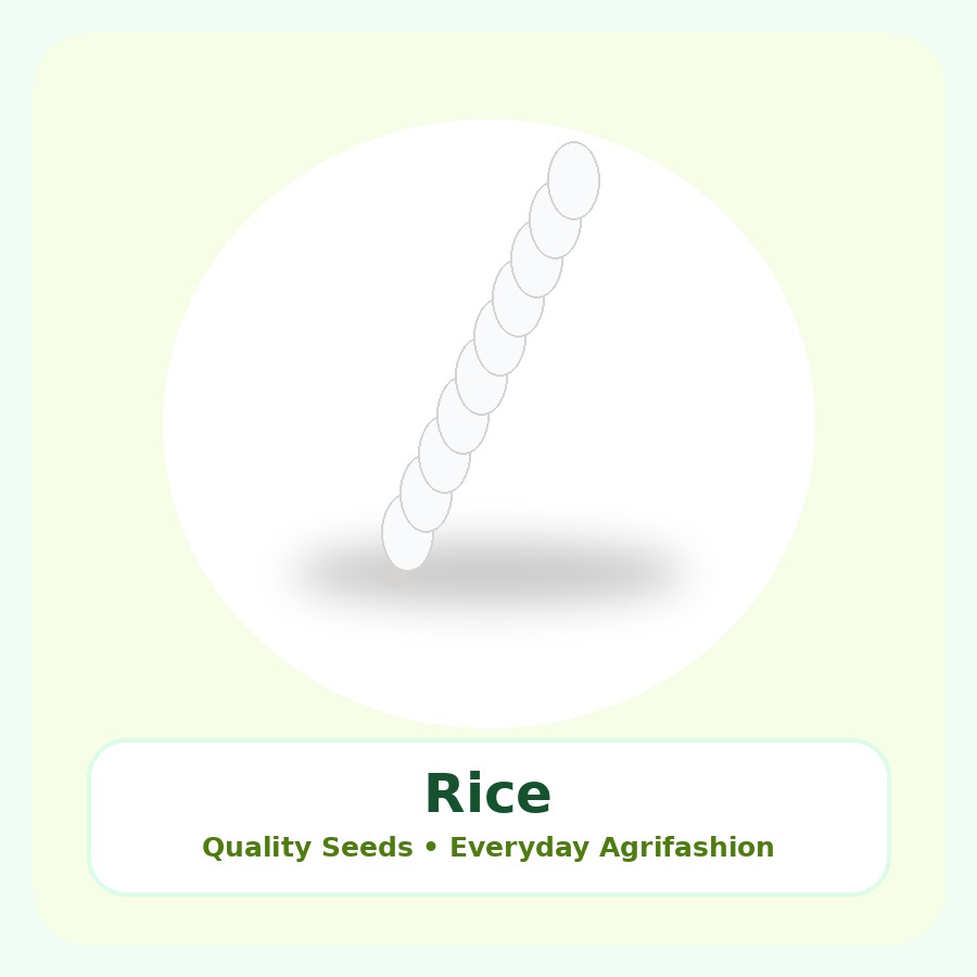 Rice Seeds 500g