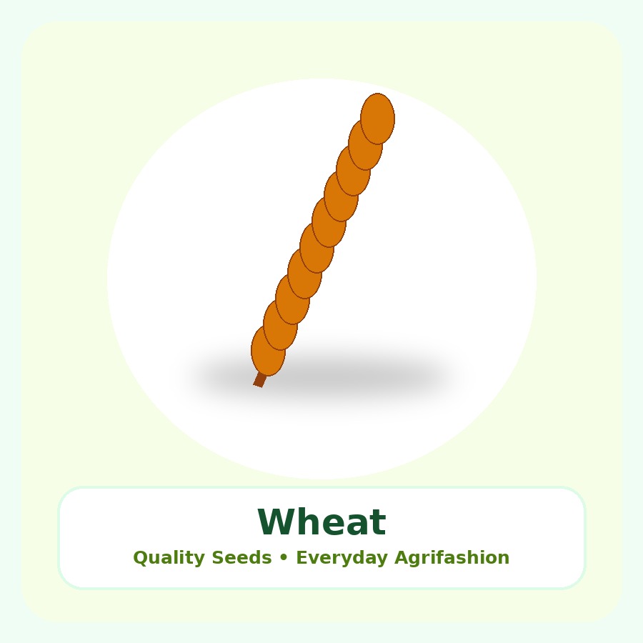Wheat Seeds 10kg