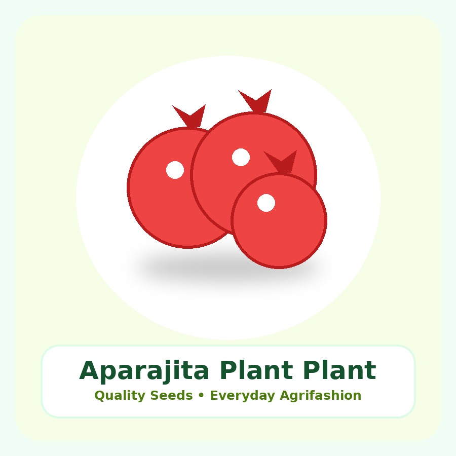 Aparajita Plant Premium Plant