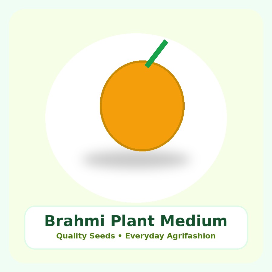 Brahmi Plant Medium Plant