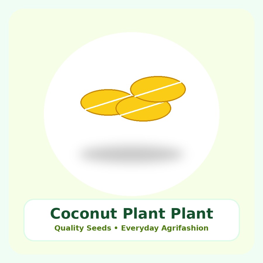 Coconut Plant Premium Plant