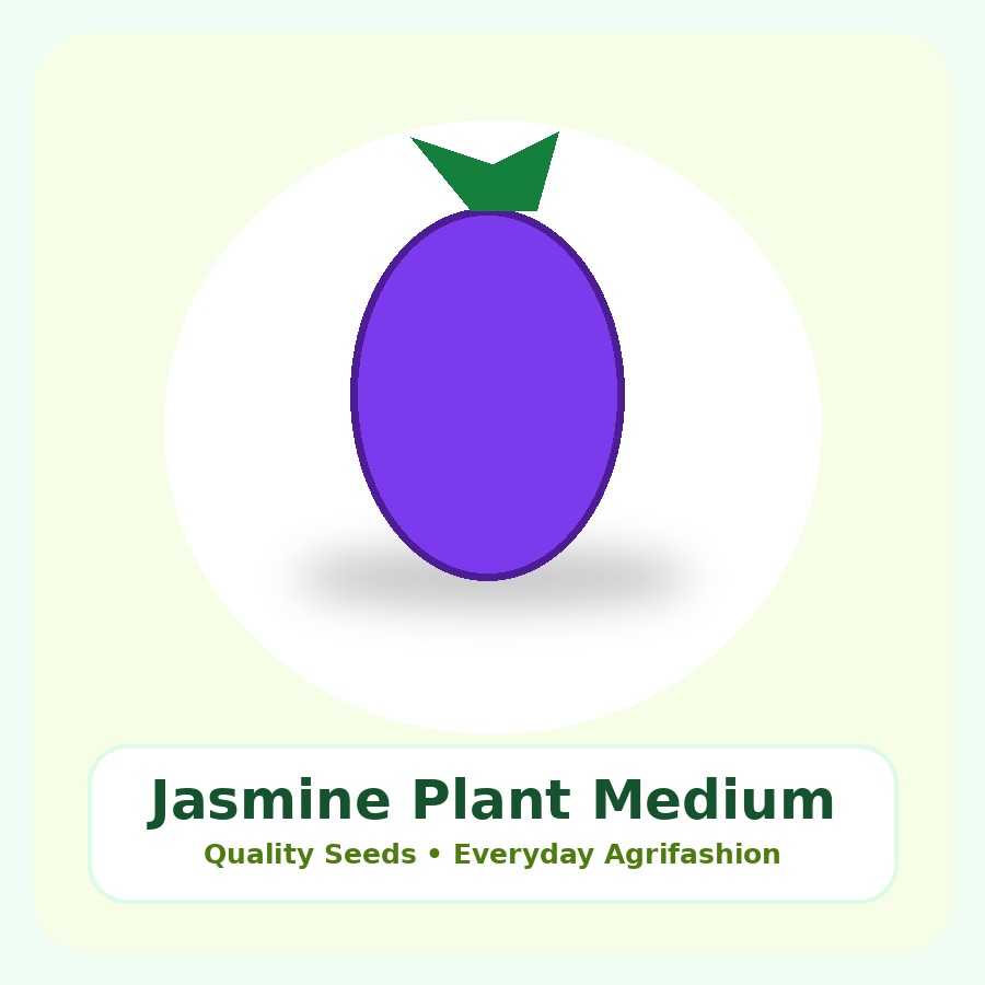 Jasmine Plant Medium Plant