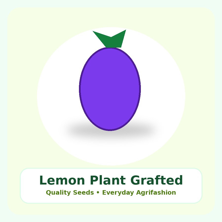 Lemon Plant Grafted Plant