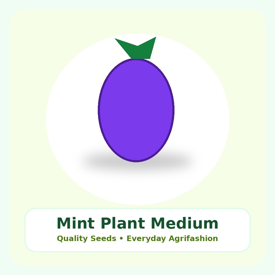 Mint Plant Medium Plant