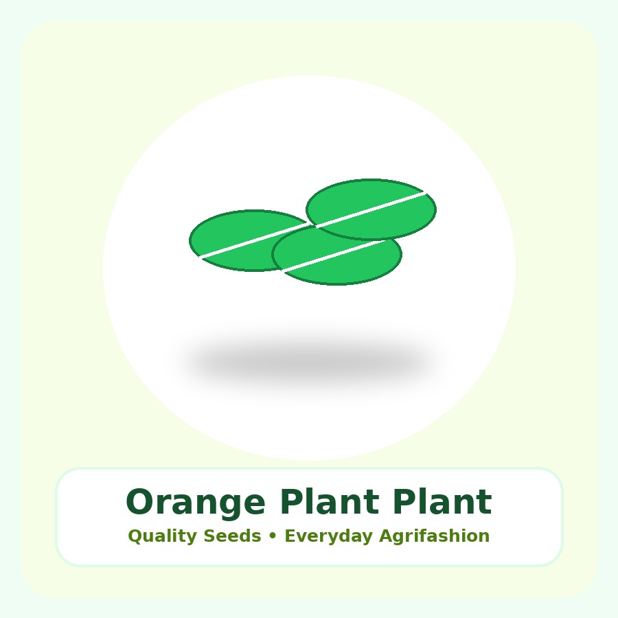 Orange Plant Premium Plant