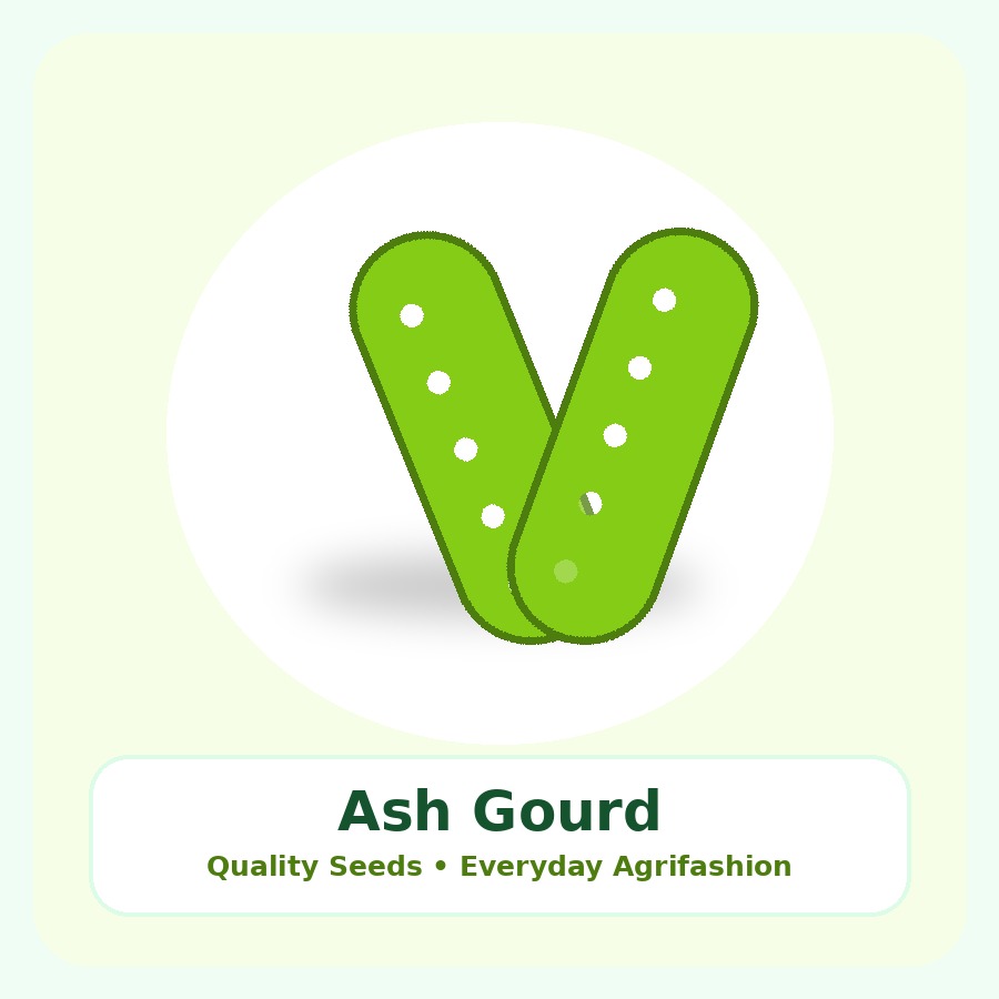 Ash Gourd Seeds 25g