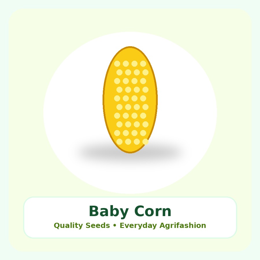 Baby Corn Seeds 25g