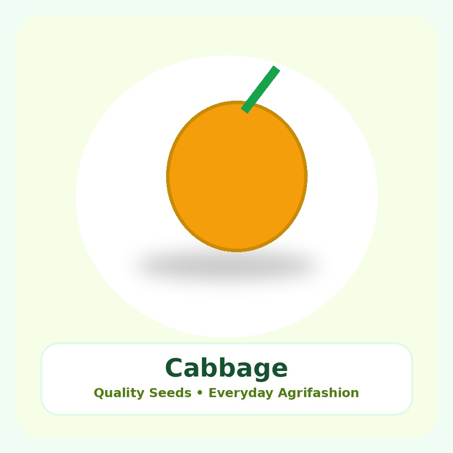 Cabbage Seeds 250g