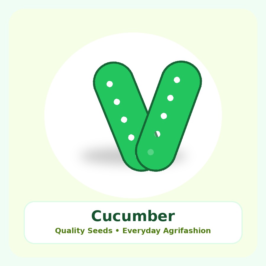 Cucumber Seeds 100g