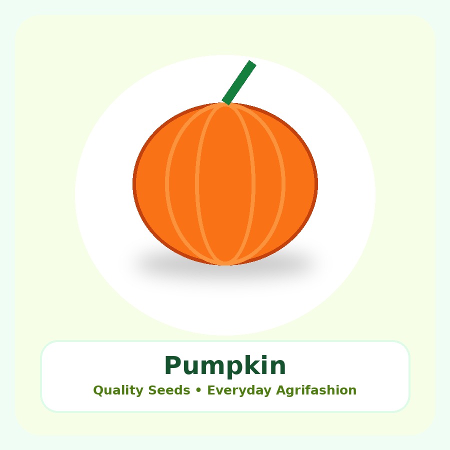 Pumpkin Seeds 500g