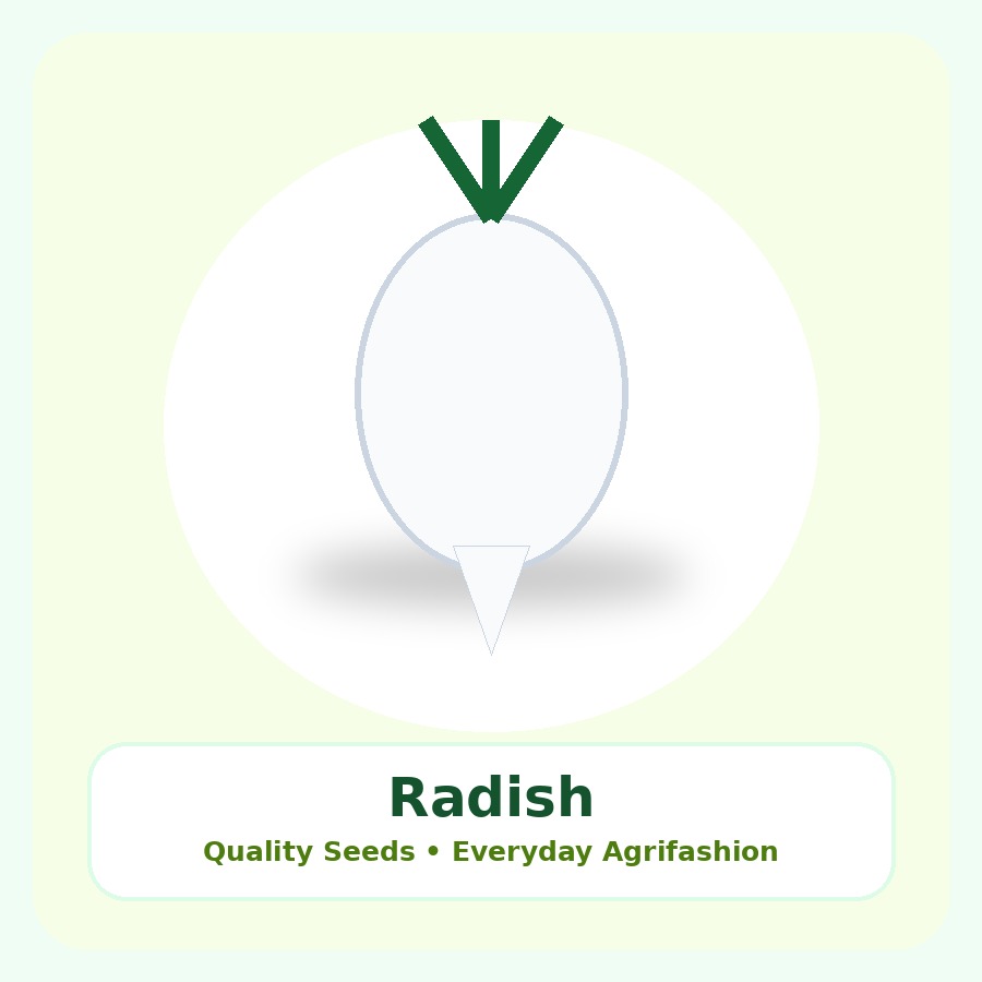 Radish Seeds 25g