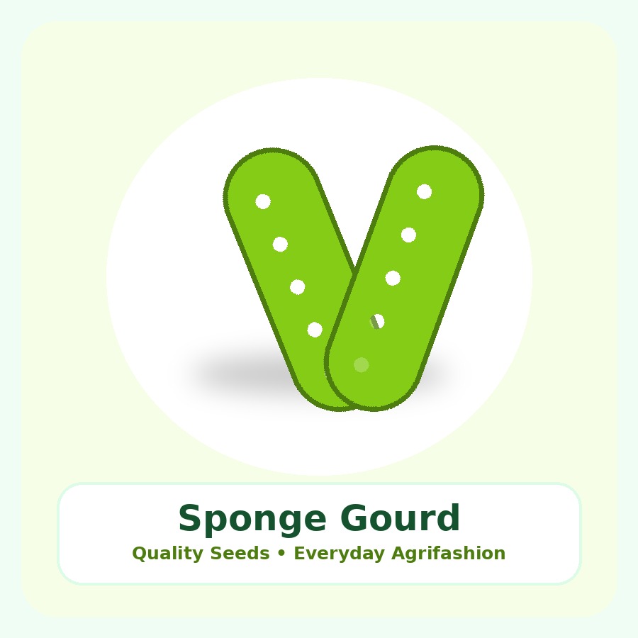 Sponge Gourd Seeds 1kg