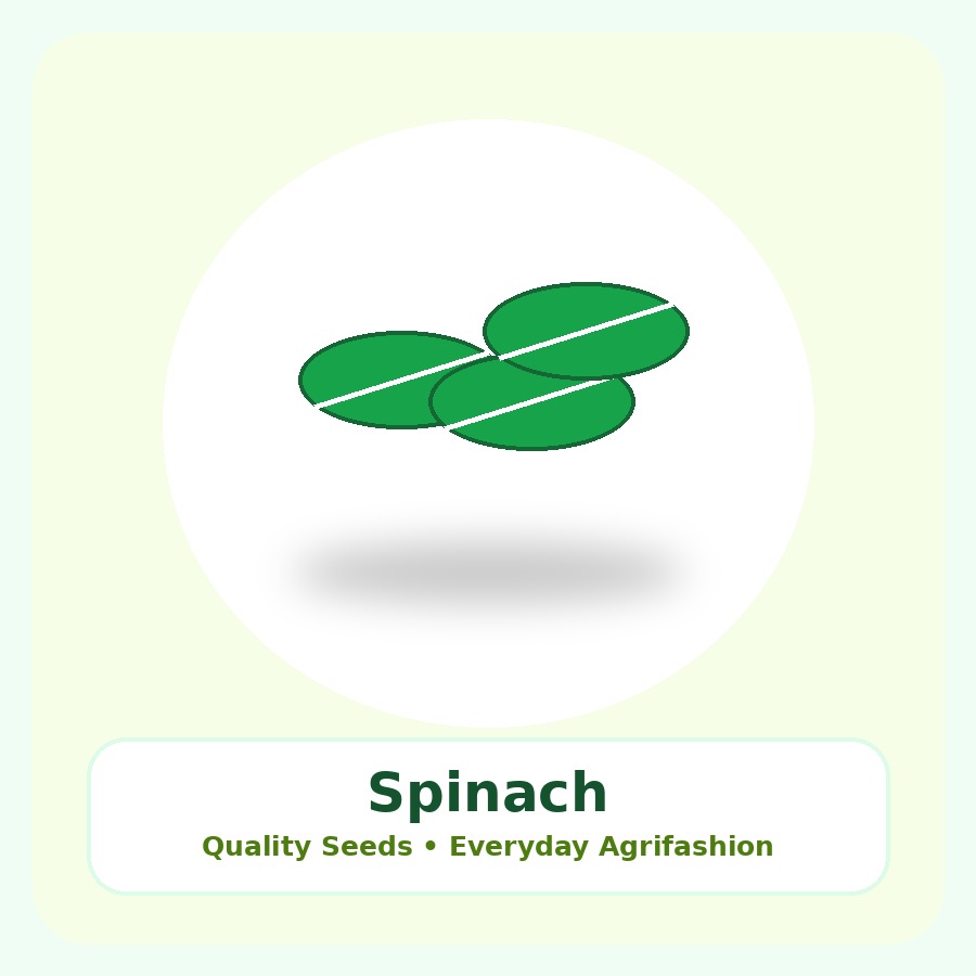 Spinach Seeds 500g