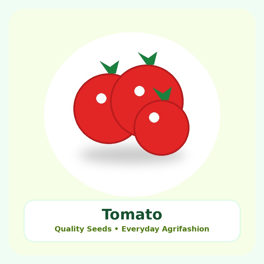 Tomato Seeds 50g